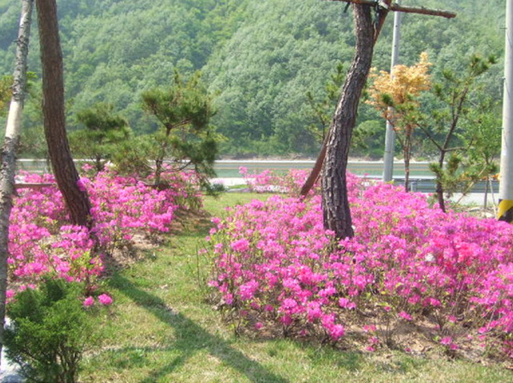 이스턴하우스