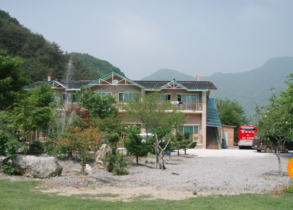 숲속의 아침